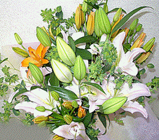asiantic lilies bouquet