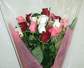 20 roses