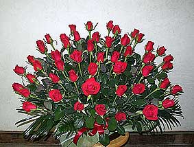 50 red roses