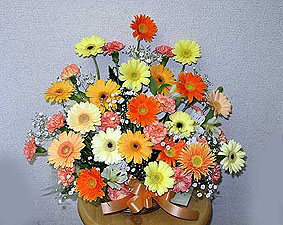 gerberas basket