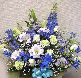 blue arrangement