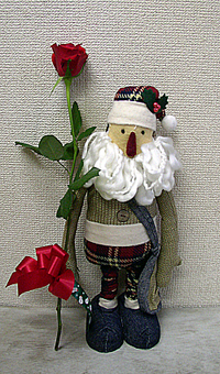 santa rose