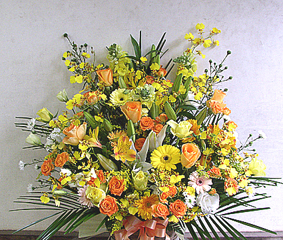 yellow orange  arrange